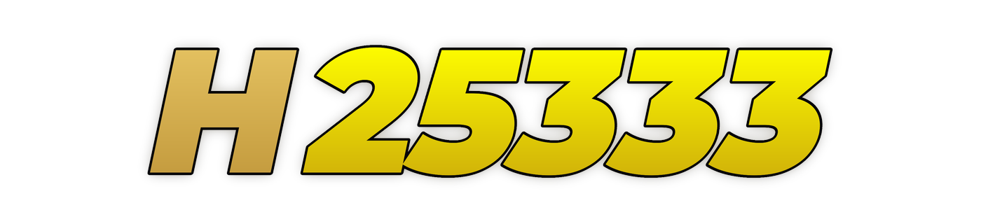h25333